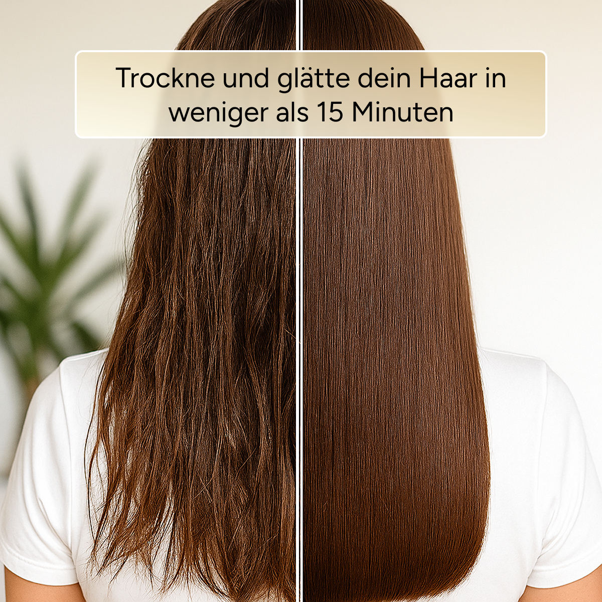 AirStraight 2in1 Glatt- und Föhnstyler